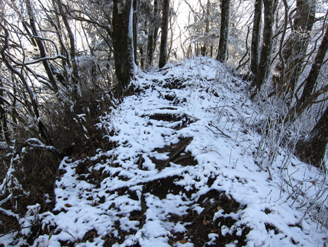 20191129hike (362)